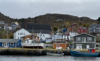 Acuario Mini Petty Harbour