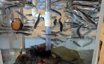 Champney's West Aquarium