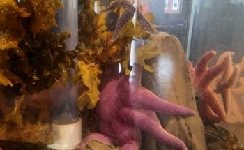 Champney's West Aquarium