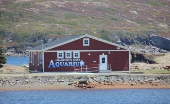 Acuario Champney's West