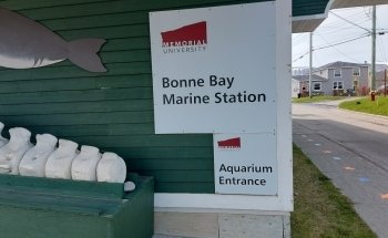 Bonne Bay Marine Station