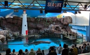 SEA LIFE Sunshine Coast Aquarium