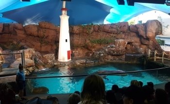 SEA LIFE Sunshine Coast Aquarium