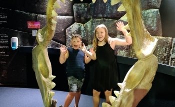 SEA LIFE Sunshine Coast Aquarium