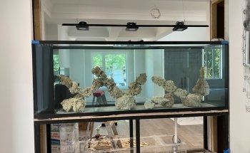 Aquarium Service Toronto
