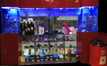 Aquarium Service Toronto