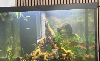 L'entrepôt de l'aquarium usagé