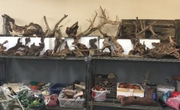 L'entrepôt de l'aquarium usagé