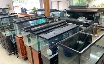 L'entrepôt de l'aquarium usagé
