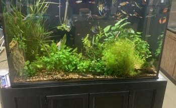 L'entrepôt de l'aquarium usagé