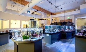 TidePools Aquarium
