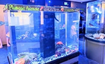 TidePools Aquarium