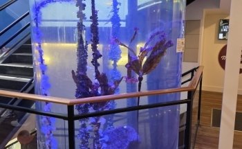TidePools Aquarium