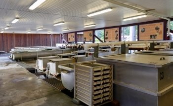 Quatse Salmon Stewardship Centre