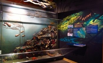 Quatse Salmon Stewardship Centre