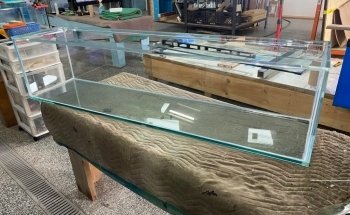 Aquanov Canada Inc (The Group)