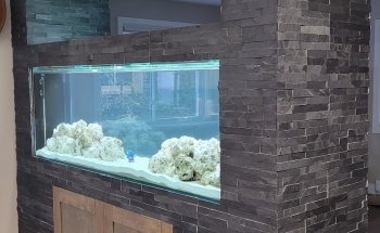 Aquanov Canada Inc (Le Groupe)