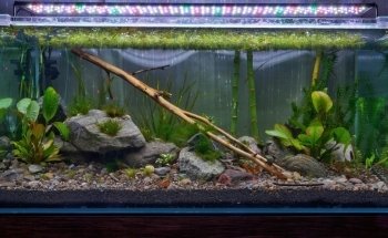 Aquanov Canada Inc (Le Groupe)