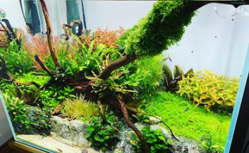 Aqua Shop Design Warehouse