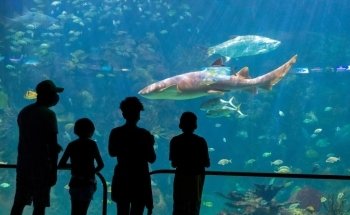 Acuarium de Veracruz