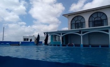 Acuarium de Veracruz