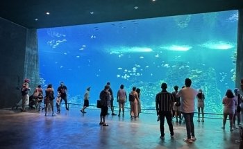 Gran Acuario Mazatlán 