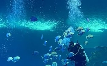 Gran Acuario Mazatlán 