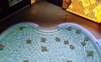 Acuario Michin Guadalajara