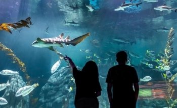 Acuario Michin CDMX