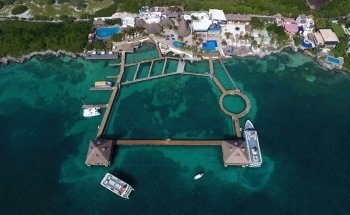 Dolphin Discovery Isla Mujeres