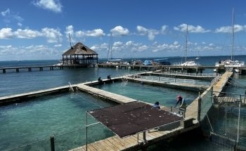 Dolphin Discovery Isla Mujeres