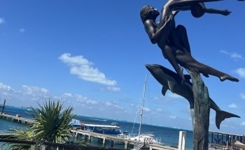 Dolphin Discovery Isla Mujeres