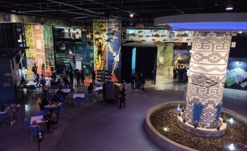 Acuario Michin Puebla