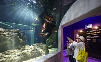 Acuario Michin Puebla
