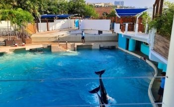 Interactive Aquarium Cancún