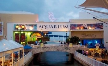 Interactive Aquarium Cancún