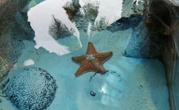 Interactive Aquarium Cancún