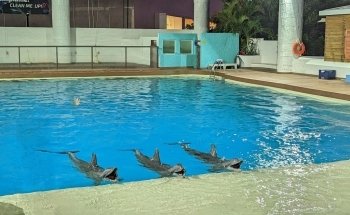 Interactive Aquarium Cancún
