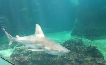 Acuario Zoologico Guadalajara