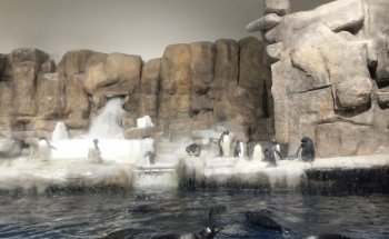 Acuario Zoologico Guadalajara