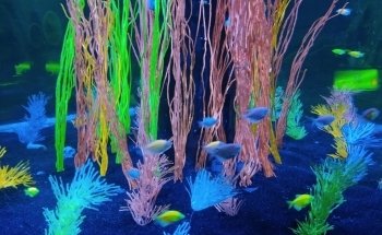 Acuario Zoologico Guadalajara