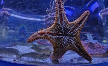 Acuario Zoologico Guadalajara