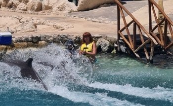 Dolphinaris Cozumel