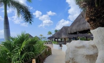 Dolphinaris Cozumel