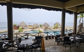 Dolphinaris Cozumel