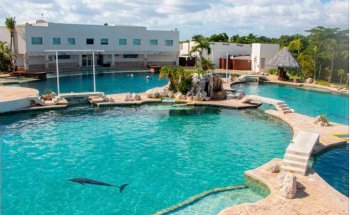 Dolphin Connection Mx Cancun