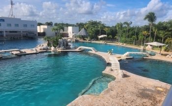 Dolphin Connection Mx Cancun