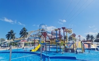 Dolphin Connection Mx Cancun