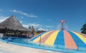 Dolphin Connection Mx Cancun