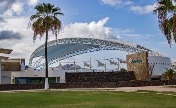 Delfinario Sonora